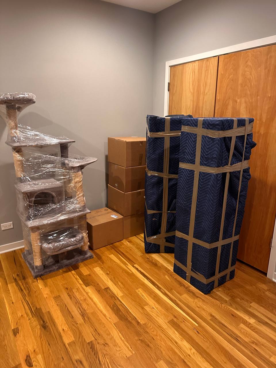 Room with wrapped furniture and cat tree