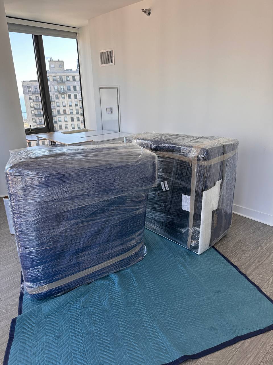 Local move in Lincoln Park